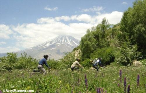 جاهای دیدنی اطراف جاده هزار